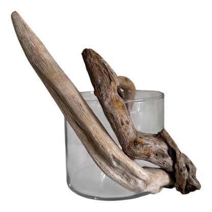 Luvia